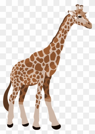 Giraffe Animal Clipart - Png Download