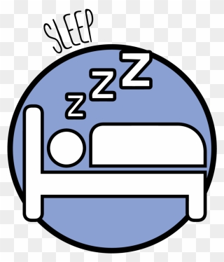 Sleep Is Incredible, It Is The Best Thing You Can Do Clipart