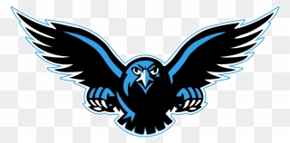 Falcon Clipart Basketball, Falcon Basketball Transparent - Poolesville High School Logo - Png Download