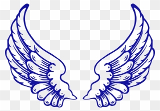 Falcon Clipart Baby Falcon - Angel Wings - Png Download