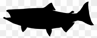 Fish Silhouette - Salmon Silhouette Png Clipart