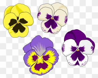 Kat"s Almost Purrfect Home - Pansy Clipart - Png Download