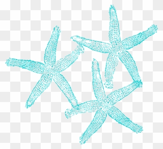 Starfish Clip Art At Clker - Transparent Background Coral Clipart - Png Download
