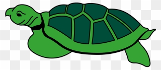 Animal Reptile Tortoise Turtle Tortoise To - Kura Kura Animasi Png Clipart