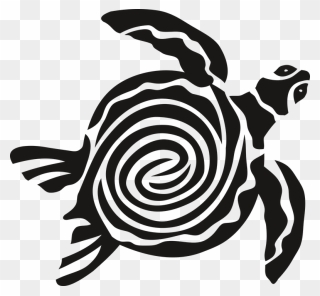 Sea Turtle Art Png - Turtle Graphic Png Clipart