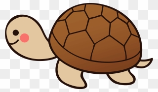 Turtle Animal Clipart - Coloring Book - Png Download