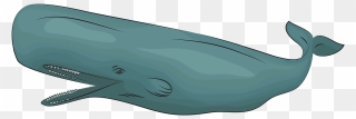 Sperm Whale Clipart - Png Download