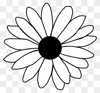 Daisy Flower Clipart Black And White Vector Library - Daisy Black And White - Png Download