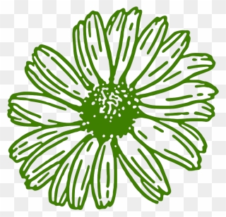 Daisy Clipart Black And White Png Transparent Png