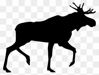 Moose, Elk Png - Moose Silhouette Png Clipart