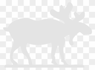 Transparent Moose Clip Art - Moose With Black Background - Png Download