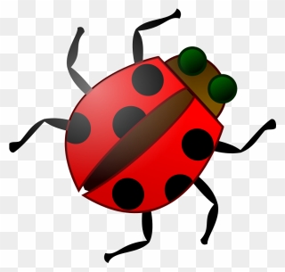 Transparent Ladybug Clip Art - Bug Clip Art - Png Download