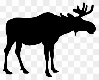 Moose Silhouette Deer Vector Graphics Portable Network - Moose Png Clipart