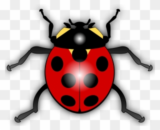 Bug Legs Png - Ladybird Clipart Transparent Png