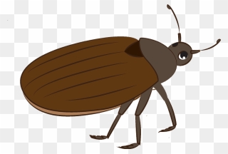 Bug Clipart - Weevil - Png Download