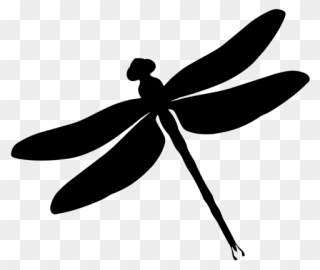 Dragonfly Clipart Outline - Dragonflies Black And White - Png Download
