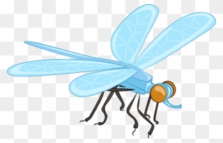 Dragonfly Clipart - Net-winged Insects - Png Download