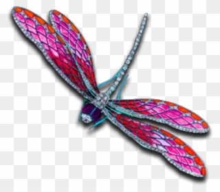 #pink #dragonfly #insect #bug #fly #jewelry #silver - Dragonflies And Damseflies Clipart