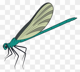 Blue Damselfly Clipart - Dragonfly - Png Download