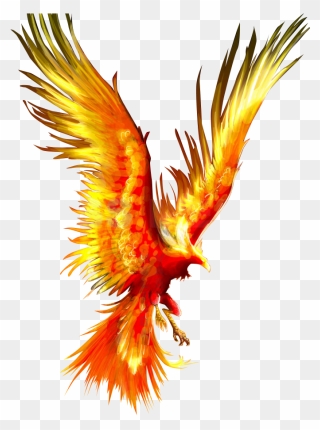 Tattoo Fireworks Mythology Firebird Phoenix Download - Phoenix Bird Clipart