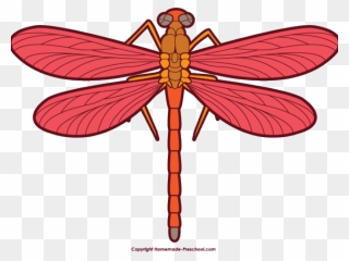 Dragonfly Clipart Small Animal - Dragonfly Cliparts - Png Download