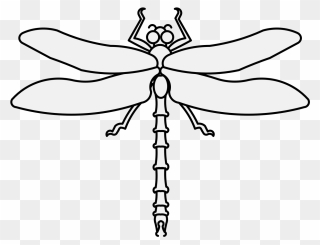 Dragonfly Clipart Traceable - Dragonfly Traceable - Png Download