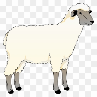 Collection Of Free Heep - Sheep Clip Art - Png Download