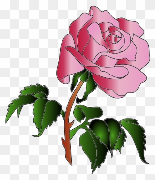 Rose Colors Clip Art - Rose - Png Download