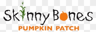 Skinny Bones Pumpkin Patch - Dinosaur Font Clipart