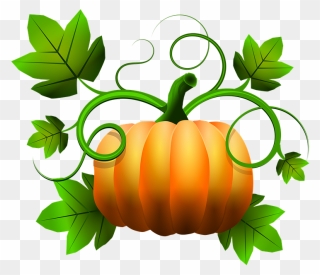 Pumpkin Patch Clipart Free Black And White Transparent - Green Pumpkin With Vine Clipart - Png Download
