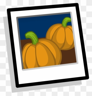 Club Penguin Wiki - Pumpkin Clipart