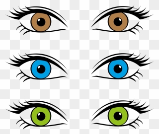 Line Art,head,eye - Eye Color Clipart - Png Download