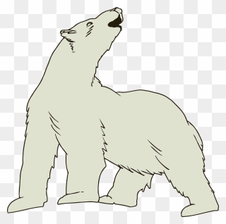 Howling Polar Bear Clipart - Png Download