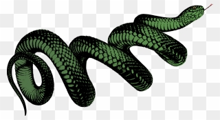 Elapidae,reptile,serpent - Black Snake Transparent Background Clipart
