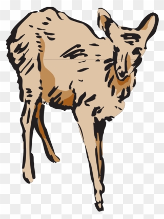 Walking Deer Art Png Icons - Deer Clipart