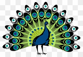 Peafowl Clip Art - Transparent Background Peacock Clipart - Png Download