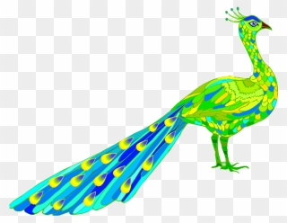 Peacock Clip Art Download - Peacock Drawing Side View - Png Download