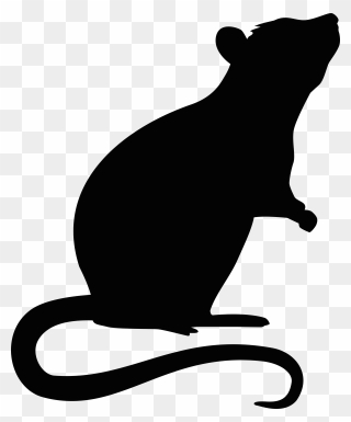 Rat Mouse Rodent - Transparent Rat Silhouette Png Clipart
