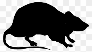 Rat Black Png - Silhouette Rat Clipart Transparent Png
