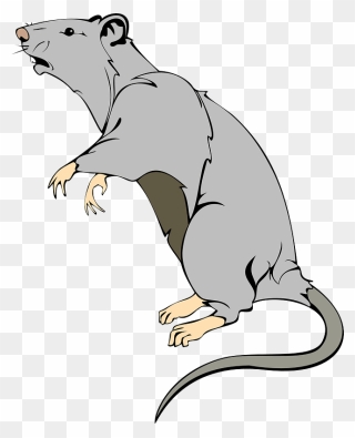 Rat Clipart - Transparent Rat Cartoon - Png Download