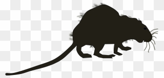 Tail,silhouette,wildlife - Marsupial Clipart