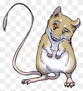 Transparent Rat Clipart Png - Kangaroo Rat Clipart
