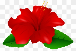 Red Hawaiian Flower Clipart Graphic Transparent Clipart - Red Hibiscus Flower Clipart - Png Download