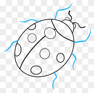 How To Draw A Ladybug - Line Art Clipart