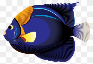 Clipart Tropical Fish - Png Download
