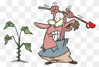Free Pulling Weeds Cliparts, Download Free Clip Art, - Weeds Clip Art - Png Download