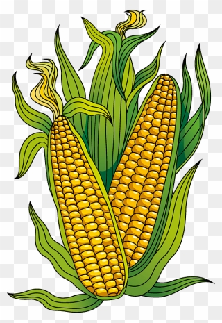 Corn Clipart - Corn Kernels - Png Download