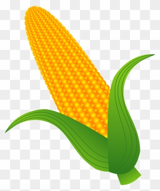 Corn Vegetable Clipart - Illustration - Png Download