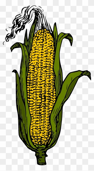 Ffa Ear Of Corn Symbol Clipart