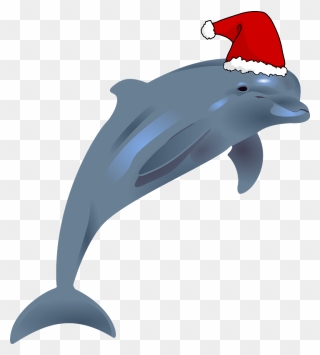 Dolphin With Santa Hat Clipart - Dolphins Transparent - Png Download